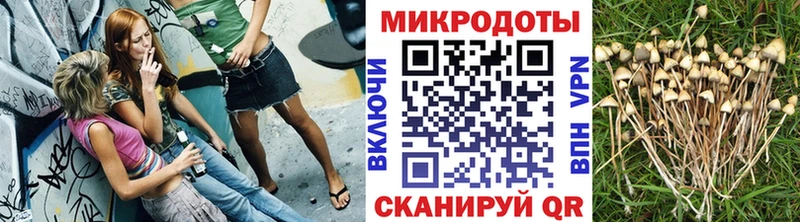 Псилоцибиновые грибы Psilocybine cubensis ссылка на мегу ONION Зуевка где купить